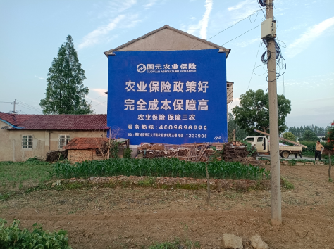 全南墙体广告的优劣势你知道吗?