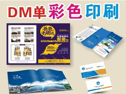 全南单页印刷，色彩搭配简单。